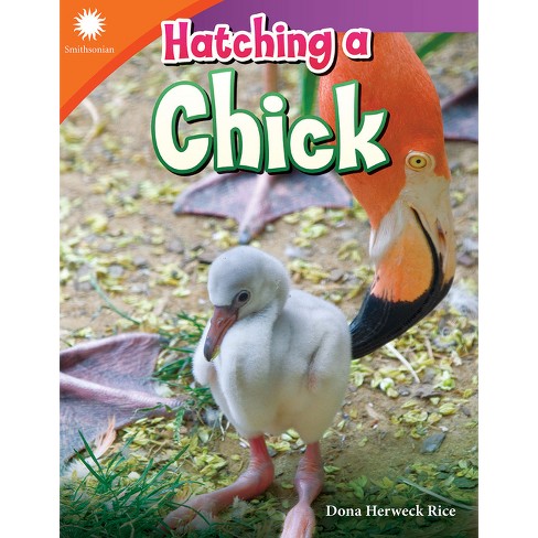 Hatching a Chick - (Smithsonian: Informational Text) by  Dona Herweck Rice (Paperback) - image 1 of 1