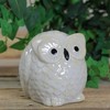 Roman 4.25" Pudgy Pals Wide Eyed Beige and Cream Owl Table Top Decorative Figure - 3 of 3