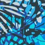 teal blue butterfly