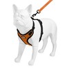 Voyager Step-In Lock Adjustable Dog & Cat Harness and 5ft Leash Combo - 4 of 4