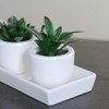 Northlight 3.5" Succulent Artificial Potted Plant Table Top Decoration - Green/White - 2 of 2