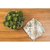 C&F Home Ainsley Napkin Set of 6 - 2 of 4
