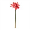 Amaryllis Flower Stem (Set of 6) - 2 of 2
