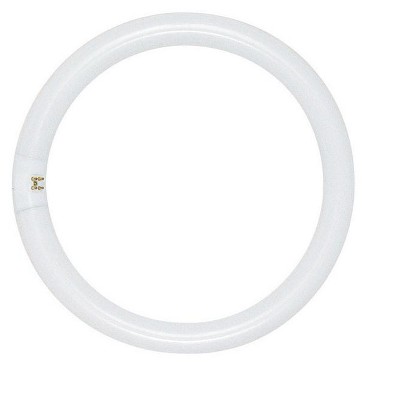 Satco 22 W T9 1.13 in. D X 8 in. L Circline Fluorescent Bulb Daylight Tubular 6500 K 1 pk