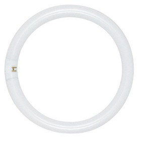 Satco 22 W T9 1.13 in. D X 8 in. L Circline Fluorescent Bulb Daylight Tubular 6500 K 1 pk - 1 of 1
