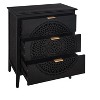 CAVINAS 3 Drawer Dresser for Bedroom,Dressers & Chest of Drawers with Hollow-Carved and Metal Handles for Living Room,Entryway - 2 of 4