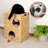 THE LICKER STORE Jaxon Modern Classic 2-Tier Handwoven Hyacinth Rectangular 5-Hole Cat Condo with 2 Machine-Washable Cushions - 2 of 4
