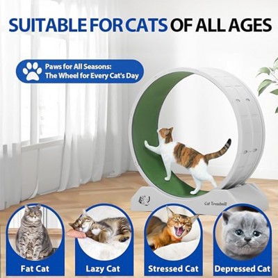 Gray and Green Freestanding Plastic Cat Exercise Wheel