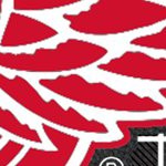 detroit red wings
