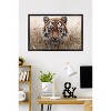 Trends International Reinders: Animals - Hunting Tiger In Grasses Framed Wall Poster Prints - 2 of 4