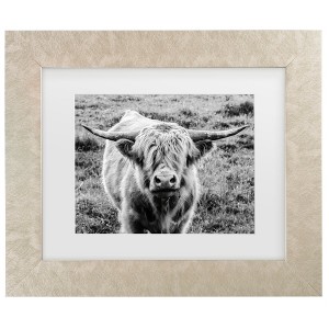 Trademark Fine Art - Nathan Larson Highland Cow Staring Contest Crop Matted Framed Art - 1 of 4
