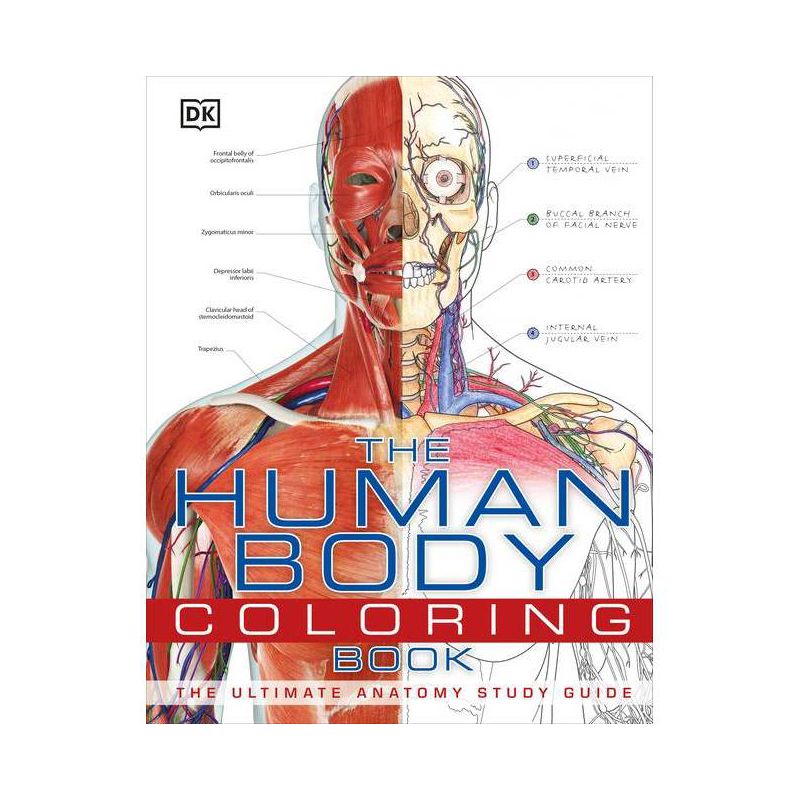 The Human Body Coloring Book - (DK Human Body Guides) by  DK (Hardcover), 1 of 2