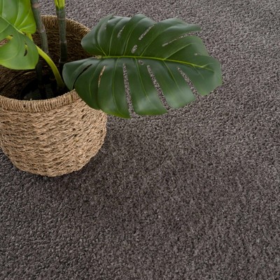 Judy Light Gray Washable Plush Shag Area Rug 5'3" x 7'