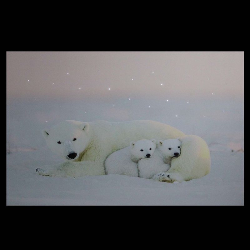 Northlight Fiber Optic Lighted Mama Polar Bear and Cubs Canvas Wall Art 23.5" x 15.5", 3 of 5