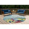 Liora Manne Ravella Coastal Indoor/Outdoor Rug.. - 3 of 4