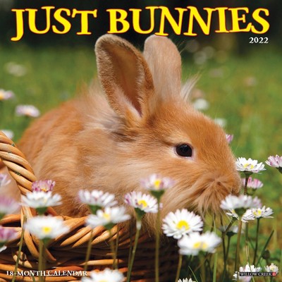 2022 Wall Calendar Just Bunnies - Willow Creek Press