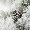 Sullivans 6' Flocked Pine & Cone Artificial Garland, Green - 3 of 4
