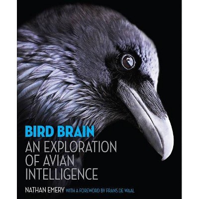 Bird Brain - by  Nathan Emery (Hardcover)