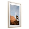 Stupell Industries Joshua Tree & Canyon Framed Print Under Glass Art - 2 of 4