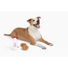 Midlee Santa's Milk and Cookies Plush Dog Toy Gift Box - 3 of 4