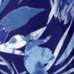 navy watercolor tulip
