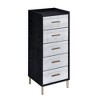 Myles 17" Armoires - Acme Furniture: Metal Frame, 5-Door Jewelry Storage, No Assembly Required - 3 of 4