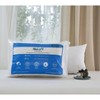 Down Home | Two Pack SpringLoft Pillow King - 3 of 3