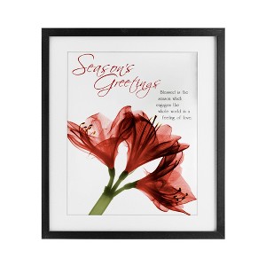 Stupell Industries Season's Greetings Holiday Amaryllis Framed Print Under Glass Art - 1 of 4