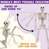 Joyfy 24'' Halloween Hanging Posable Skeleton with LED Red Glowing Eyes, Full Body Skeleton with Movable Joints, Haunted House Party Props Decor - 2 of 4