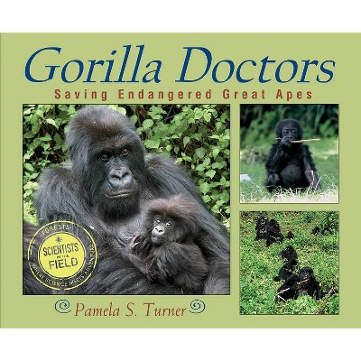 Gorilla Doctors: Saving Endangered Great Apes - (Scientists in the Field (Paperback)) by  Pamela S Turner (Paperback)