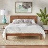 Queen Larkin Faux Rattan Panel Platform Bed Walnut - Lifestorey ...