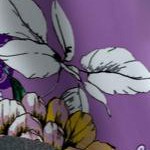 violet paisley garden