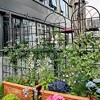 Dolonm 4 Pack Metal Garden Trellis 71" x 19.7" Rustproof Trellis for Climbing Plants Outdoor Flower Support Black - 3 of 4