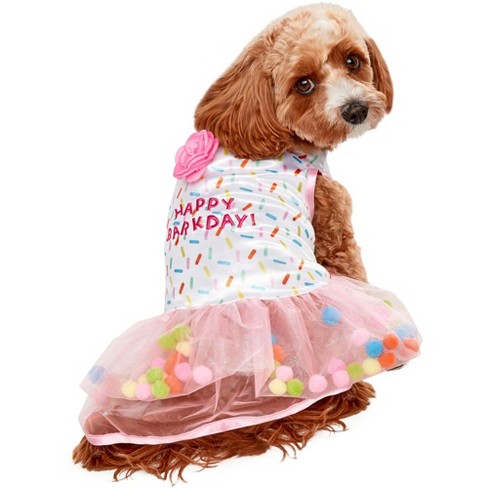 Pet dress hotsell shop near me