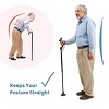 Walking Cane Collapsible Special Balancing with 10 Adjustable Heights -  Self-Standing Folding Cane, Comfortable and Lightweight - MedicalKingUsa