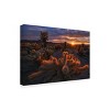 Trademark Fine Art - Inigo Cia Cholla Garden Matted Framed Art - image 2 of 4