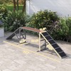 Skyzone Dog Agility Training Ramp with 35° Slope, Safety Bars & Anti-Slip Surface - Fir Wood, - 3 of 4