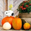 Peanuts 10.5In Snoopy And Woodstock Pumpkin Press-In - 2 of 2