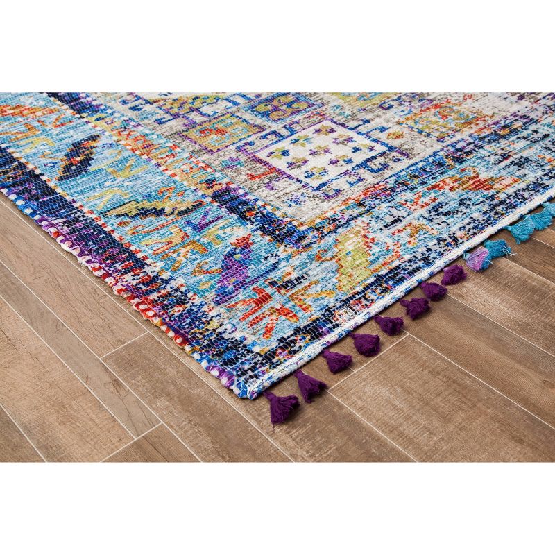 Tarom Distressed Area Rug with Multiple Fringe - Anji Mountain, 5 of 9
