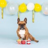 PetShop by Fringe Studio Barkflix Dog Plush Toy Set - 3pk - 3 of 3