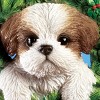 Collections Etc Hand Painted Pet-In-Wreath Hanging Christmas Tree Ornament - 3 of 3