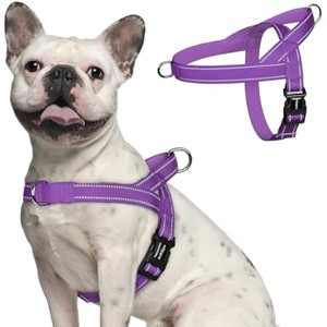 rabbitgoo Dog Harness No Pull, Quick Fit Handle, Chest Adjustable Reflective Pet Vest, No Choke Escape Proof for Walking Training, Purple M - 1 of 1
