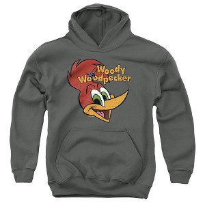 Boys’ Woody Woodpecker Retro Logo Hooded Sweatshirt - 1 of 4