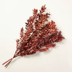 Preserved 20" Rusted Ruscus Leaves Bundle - Hearth & Hand™ with Magnolia