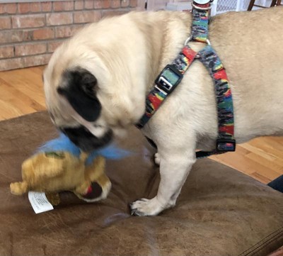 Guest review image 1 of 3, zoom in