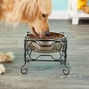 YML 5-Inch Wrought Iron Stand with Single Stainless Steel Feeder Bowl - 2 of 4