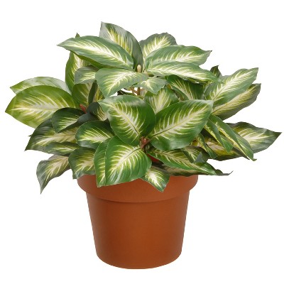 National Tree Company Indoor & Outdoor Plastic Artificial Hosta Bush Plant with Two Tone Leaves & Decorative Weighted Brown Growers Pot, 15 Inches