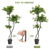 Artificial Olive Tree with 50 Lights, Fake Olive Trees Indoor Artificial Plant in Plastic Nursery Pot, Tall Fake Tree - 4 of 4