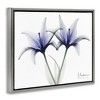 Stupell Industries X-Ray Lily Flowers Black Framed Floater Canvas Wall Art - 3 of 4