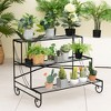Tangkula 3-Tier Metal Shelf Ladder Shaped Plant Stand Flower Pot Display Rack Organizer - 3 of 4